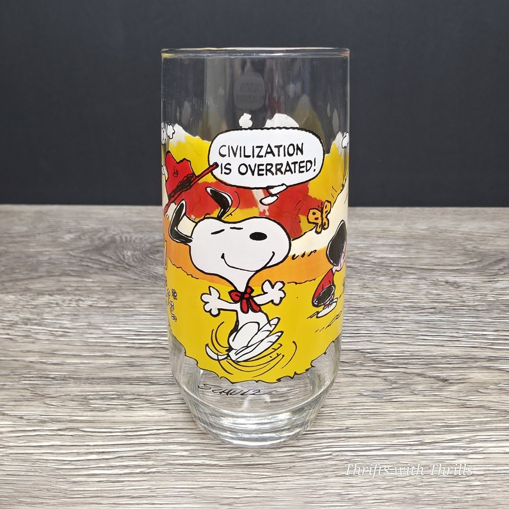 Vintage McDonald's Glass Tumbler - Camp Snoopy Collection - Charlie Brown/Snoopy